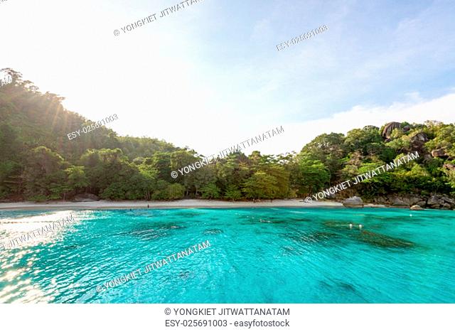 Beautiful green blue sea front small beach at Honeymoon Bay is a famous attractions for diving on Ko Miang island in Mu Koh Similan National Park