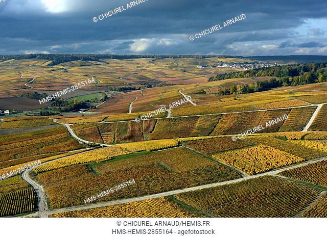 France, Marne, Cumieres, the hillsides of Champagne during fall (aerial view)