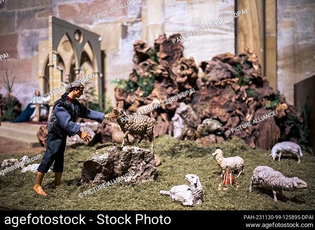 PRODUCTION - 29 November 2023, Bavaria, Bamberg: A nativity scene with a shepherd and sheep. The nativity scene is set up in Bamberg Cathedral