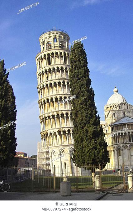 Italy, Tuscany, Pisa, slates tower,  Cathedral Santa Maria Assunta, detail, Foreground, tree, Campo dei Miracoli, Domplatz, piazza Del Duomo, Campanile