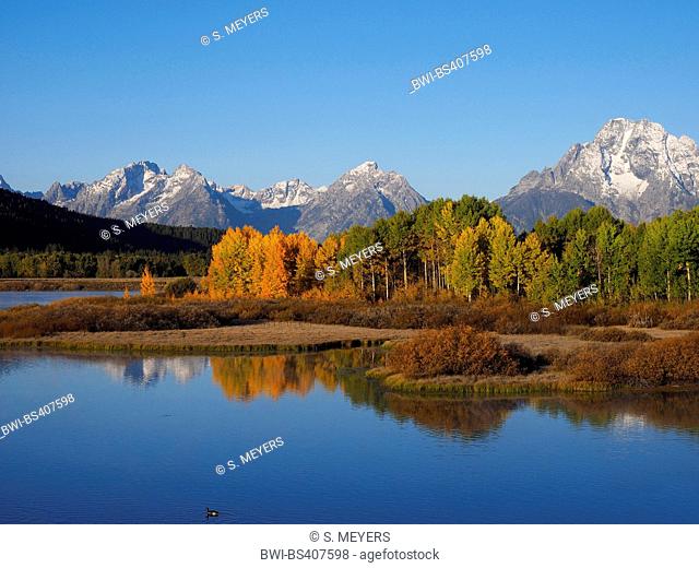 autumn mood at the Oxbow Bend with Mt. Moran in the background, USA, Wyoming, Grand Teton National Park