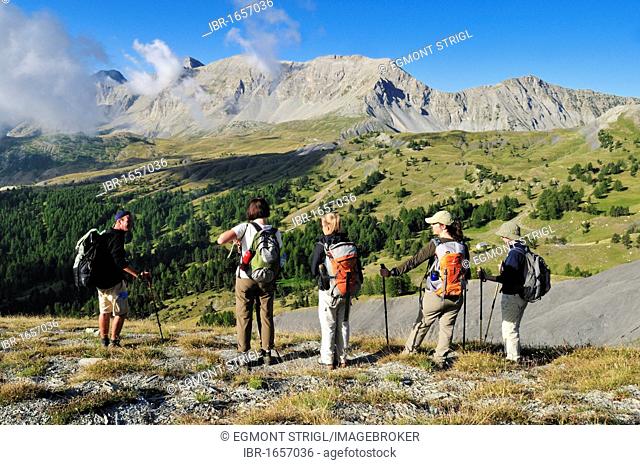 Hiking, Trekking group overlooking the Col des Champs mountain pass, Mercantour National Park, Haute Verdon mountains, Alpes-de-Haute-Provence