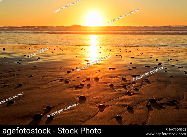 Torrey Pines State Beach, Del Mar, San Diego County, California, United States of America, North America