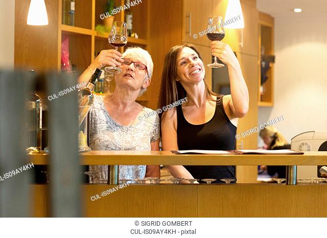 Women at counter in wine bar checking clarity of wine