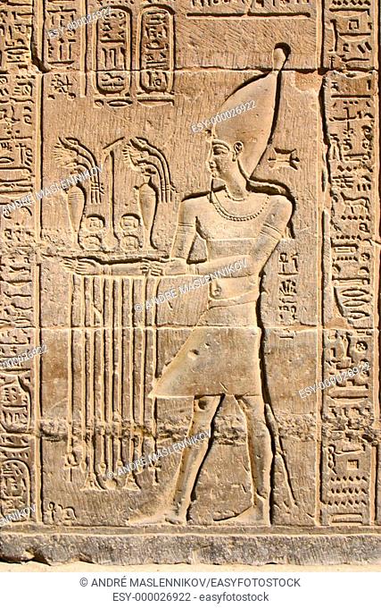Detail of relief of temple. Philae. Aswan. Egypt