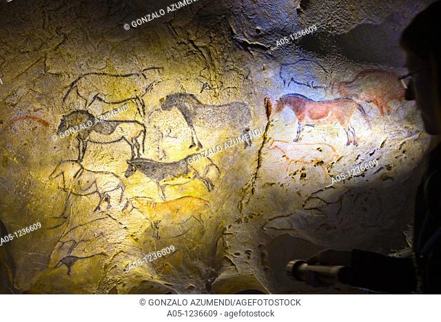 Ekain, Ekainberri Cave  Horses, Cave paintings of Paleolithic  Zestoa  Cestona  Gipuzkoa  Guipuzcoa  Basque Country  Spain