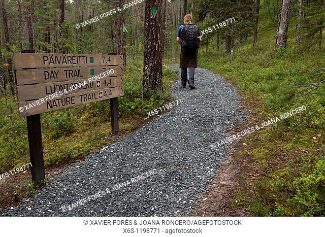 Kiutaköngäs day trail, National Park of Oulanka, Kuusamo, Finland