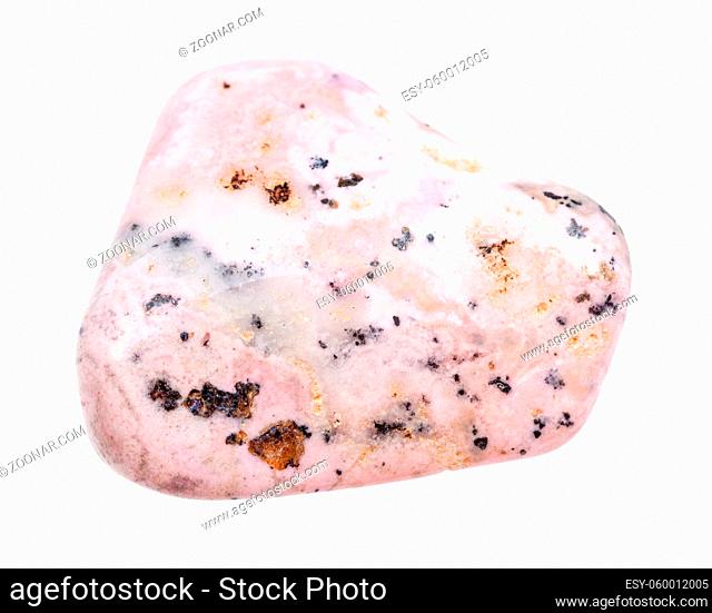 closeup of sample of natural mineral from geological collection - polished Rhodochrosite gemstone isolated on white background