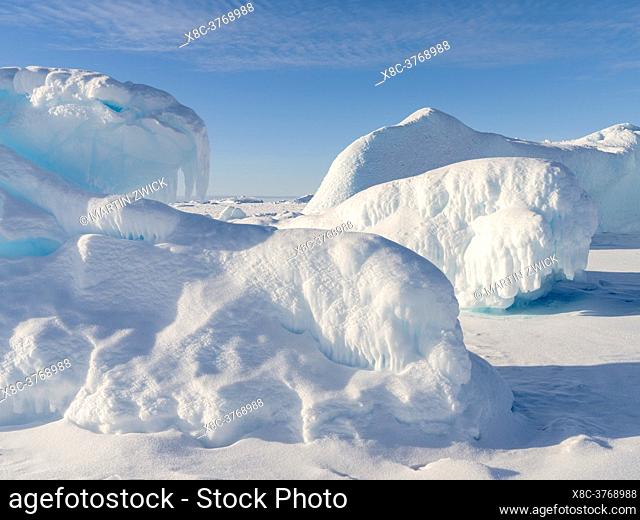 Icebergs frozen into the sea ice of the Uummannaq fjord system during winter in the the north west of Greenland, far beyond the polar circle