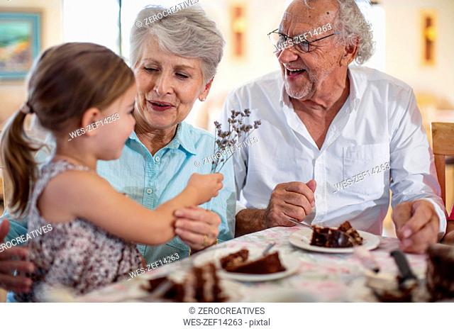 Grandparents celebrating a birthday with their granddaughter, eating chocolate cake