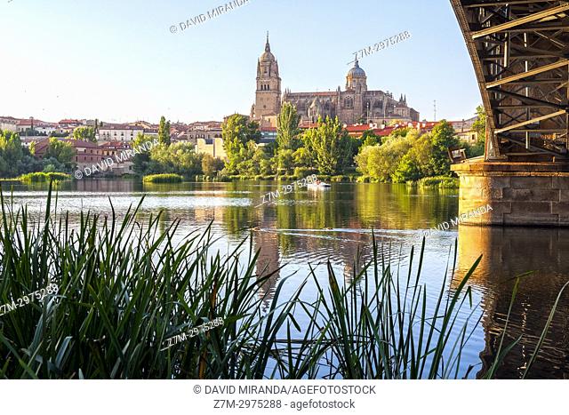 Catedral de Salamanca. Ciudad Patrimonio de la Humanidad. Castilla León. España