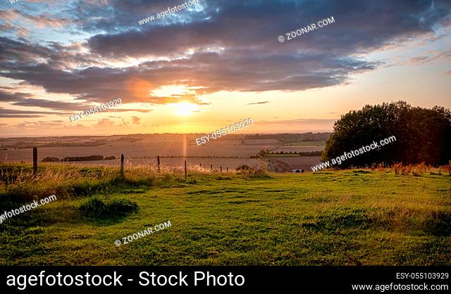 Horses pasturing in a rural landscape under warm sunlight with blue yellow and orange colors grazing grass trees and outstretched view in avesbury england