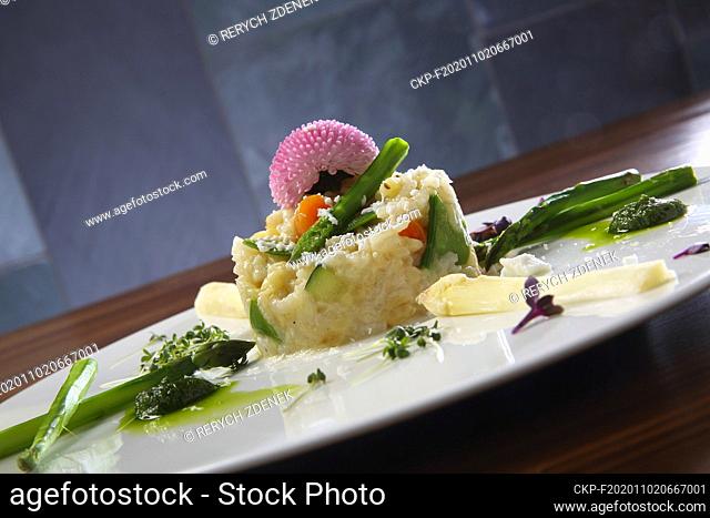 Italian risotto, asparagus, leek, vegetarian food. (CTK Photo/Zdenek Rerych)