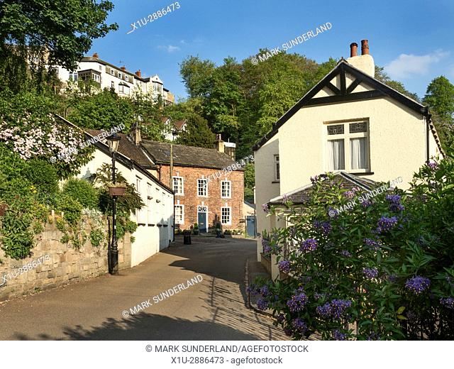 Houses in the Nidd Gorge from Waterside on a Sunny Evening at Knaresborough North Yorkshire England