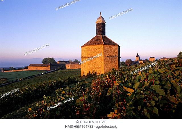 France, Rhone, Beaujolais region, Pierres Dorees region, dovecote of Bagnols castle