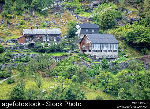 Norway, Møre og Romsdal, farm in Geirangerfjord