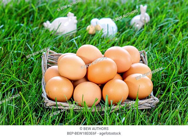 Basket of eggs standing on fresh grass