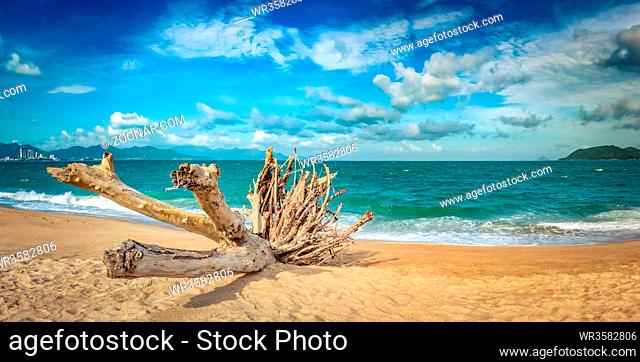 Scenic view of Nha Trang beach at sunny day. Beautiful tropical landscape. Snag on the foreground. Panorama