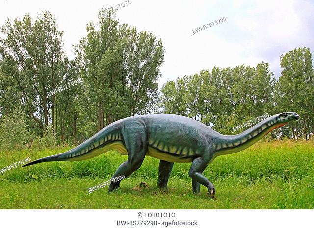 Apatosaurus, Brontosaurus Apatosaurus, Brontosaurus, on a clearing