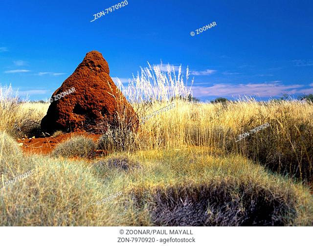 Red Termite Nest in dry spinifex grass, Pilbara, Northwest Australia