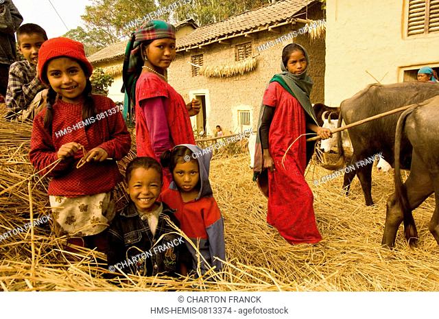 Nepal, Terai area, Rapti Zone, Dang Deokhuri District, traditional village Chaudhari Tharu, rice threshing