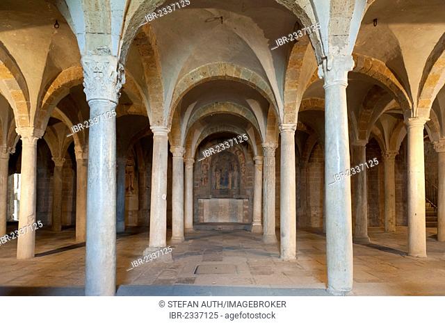 Crypt with a vaulted ceiling and lots of columns, Romanesque Basilica of San Pietro, Tuscania, Lazio, Italy, Southern Europe, Europe