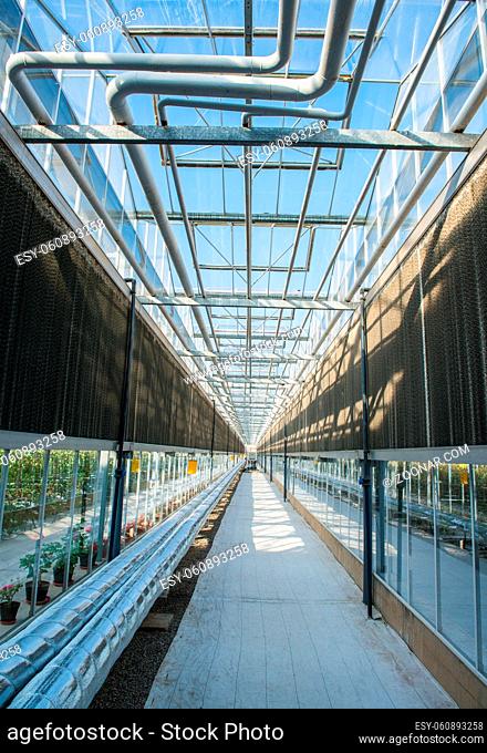 glass roof interior with pipes and walls in modern greenhouse, photo in length