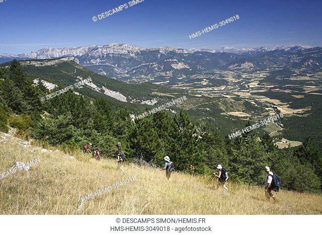 France, Drome, Rimon et Savel, hikers walking down from Plaine top