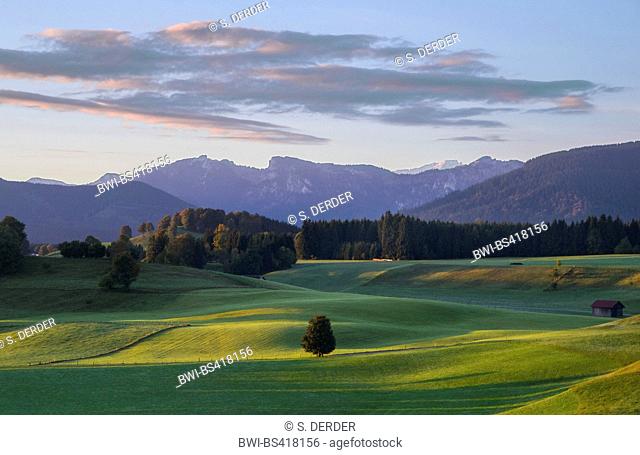 Ammergau Alps and Zugspitze seen from nearby Wildsteig, Germany, Bavaria, Oberbayern, Upper Bavaria