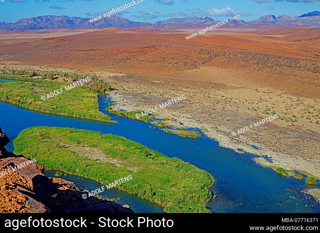 reeded sandbanks in the border river Oranje between Namibia and South Africa, in the background Richtersveld in South Africa