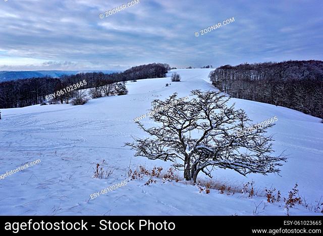 Winterlandschaft auf dem Filsenberg, Schwäbische Alb, winter landscape on the swabian alps