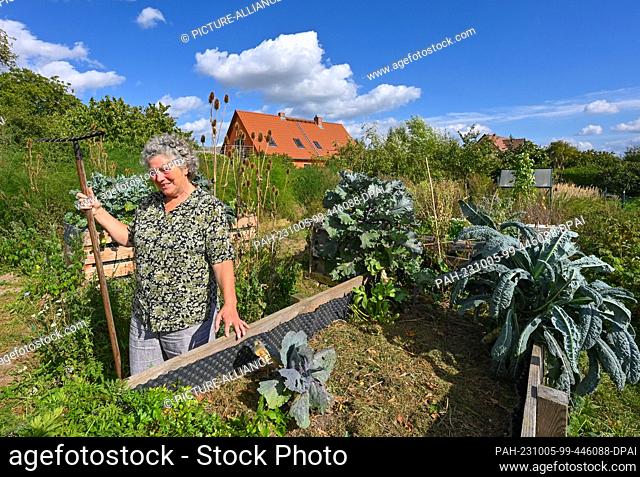 PRODUCTION - 19 September 2023, Brandenburg, Alt-Galow: Marina Delzer, nature and landscape guide, stands at a raised bed in her nature garden