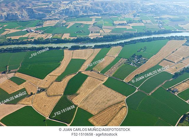 Agricultural landscape  Ebro River  Zaragoza Province, Aragon, Spain, Europe