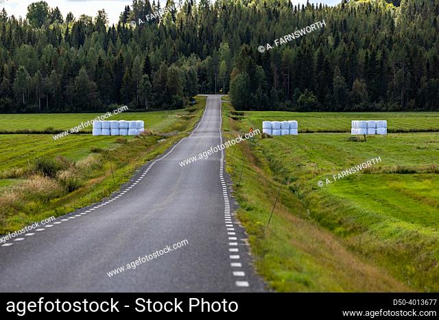 Arvidsjaur, Sweden A country road with hay bales
