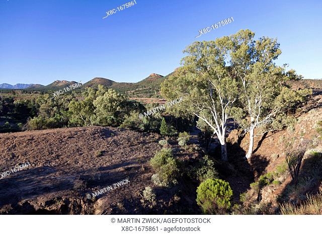 Flinders Ranges National Park in South Australia View of ABC Range and Brachina Gorge in the Heysen Range Brachina Gorge is of world wide importance for Geology...