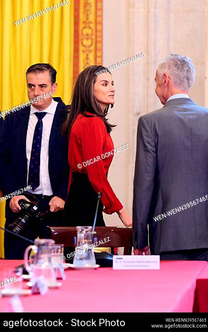 Spanish Royals Meet ""Princesa De Girona"" Foundation At The Royal Palace Featuring: Queen Letizia of Spain Where: Madrid