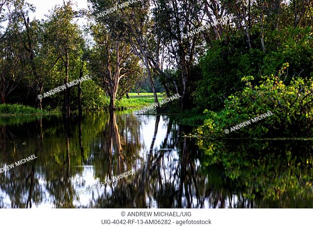Flooded wetlands during the wet season, Kakadu National park, Northern territory, Australia