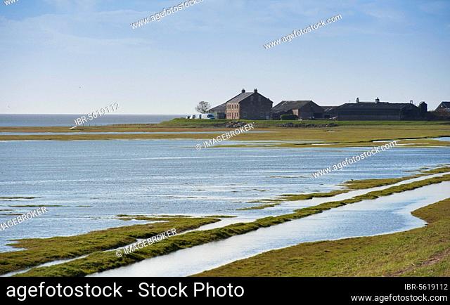 Sea-covered saltmarsh habitat and farm track, Bank End Farm, Cockerham, Lancashire, England, United Kingdom, Europe