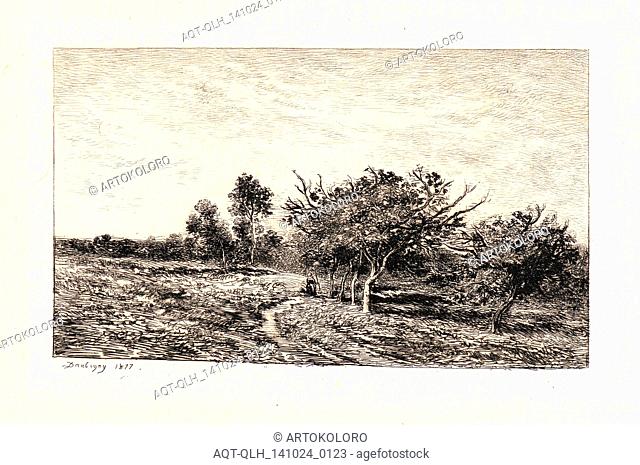 Charles François Daubigny (French, 1817 - 1878). Apple Trees at Auvers (Pommiers à Auvers), 1877. Etching on laid paper. Plate: 143 mm x 242 mm (5