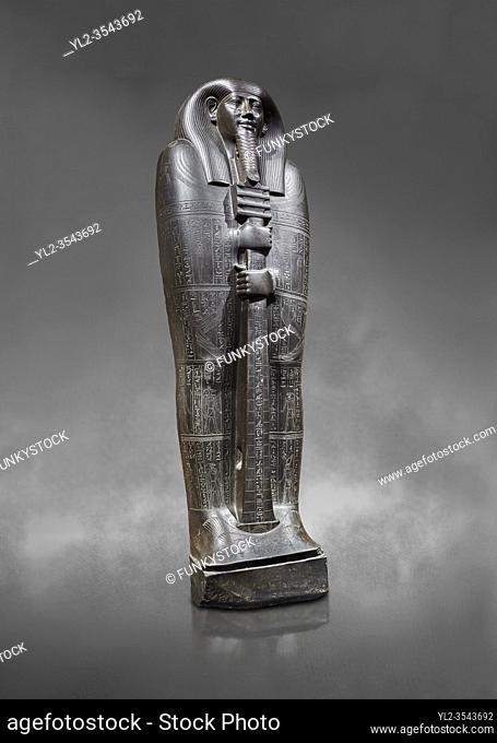Ancient Egyptian greywacke sarcophagus lid of Ibi - late Period, 26th Dynasty (664-610BC). Egyptian Museum, Turin. Grey background
