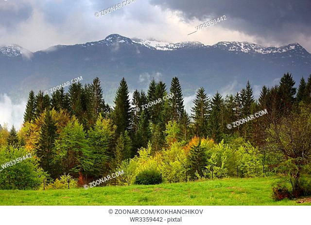 Mountain alps landscape with trees in fog and clouds in Slovenia at spring