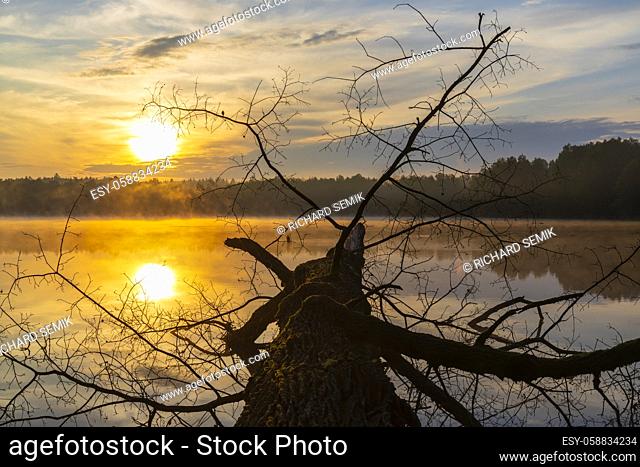 sunrise sun over pond, Trebon, Czech Republic