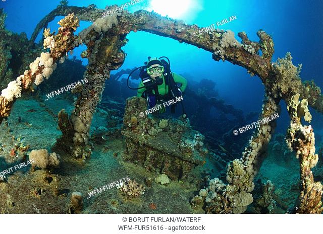 Wreck Abu Galawa and Diver, Fury Shoals, Marsa Alam, Red Sea, Egypt
