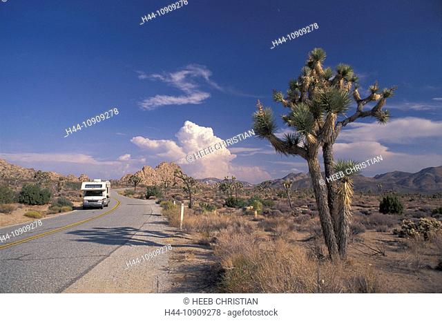 Joshua Tree, National Park, California, USA, United States, America, road, car, RV, camper, car, desert