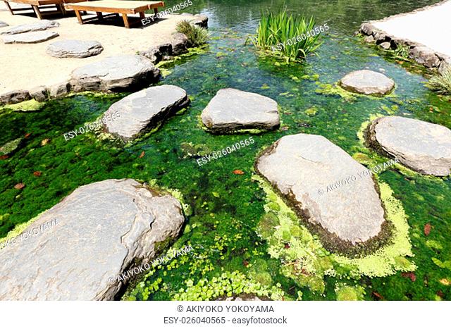 Japanese garden, view of pond