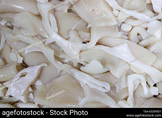 RUSSIA, MELITOPOL - JULY 6, 2023: Squids are seen at the Rybtsekh No 1 fish processing enterprise. Currently, the company produces some 50 types of fish and...