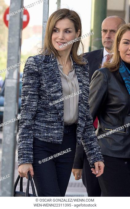 Queen Letizia of Spain arrives for a meeting with UNICEF Featuring: Queen Letizia Where: Madrid, Spain When: 16 Mar 2015 Credit: Oscar Gonzalez/WENN