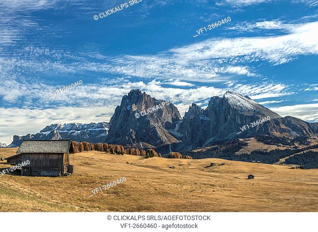 Alpe di Siusi/Seiser Alm, Dolomites, South Tyrol, Italy. Autumn on the Alpe di Siusi/Seiser Alm with the peaks of Sella, Sassolungo/Langkofel and...