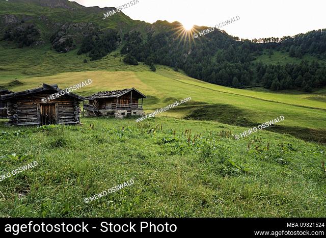 Fane Alm, Almdorf, South Tyrol, Italy, Europe