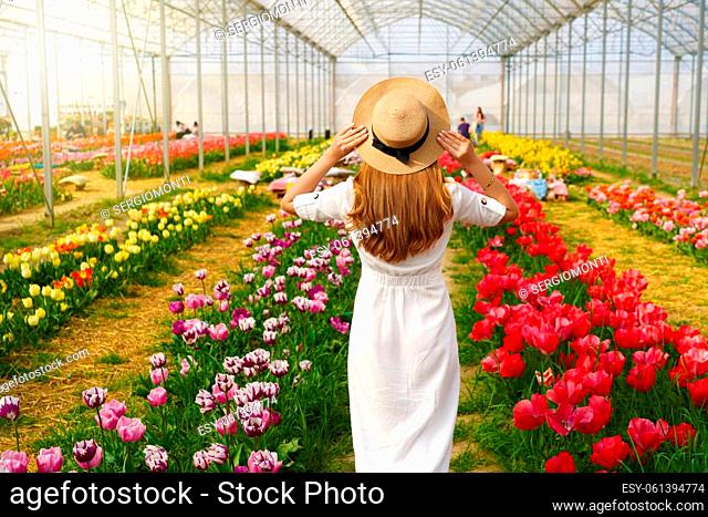Beautiful girl with white dress and straw hat walking between colorful tulips on springtime